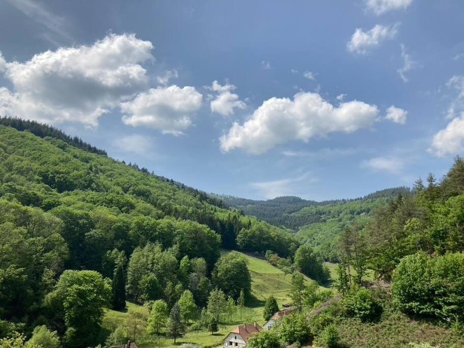 La Belle Vallee Lalaye Buitenkant foto